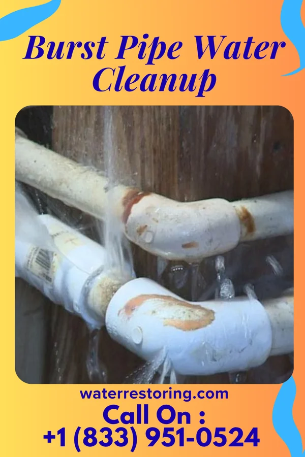 Burst Pipe Water Cleanup in Hutton, MD