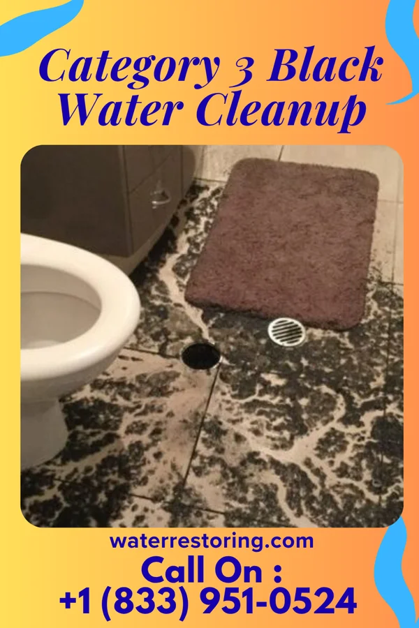 Category 3 Black Water Cleanup in Hutton, MD