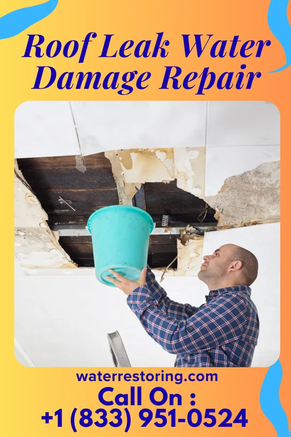 Roof Leak Water Damage Repair in Hutton, MD