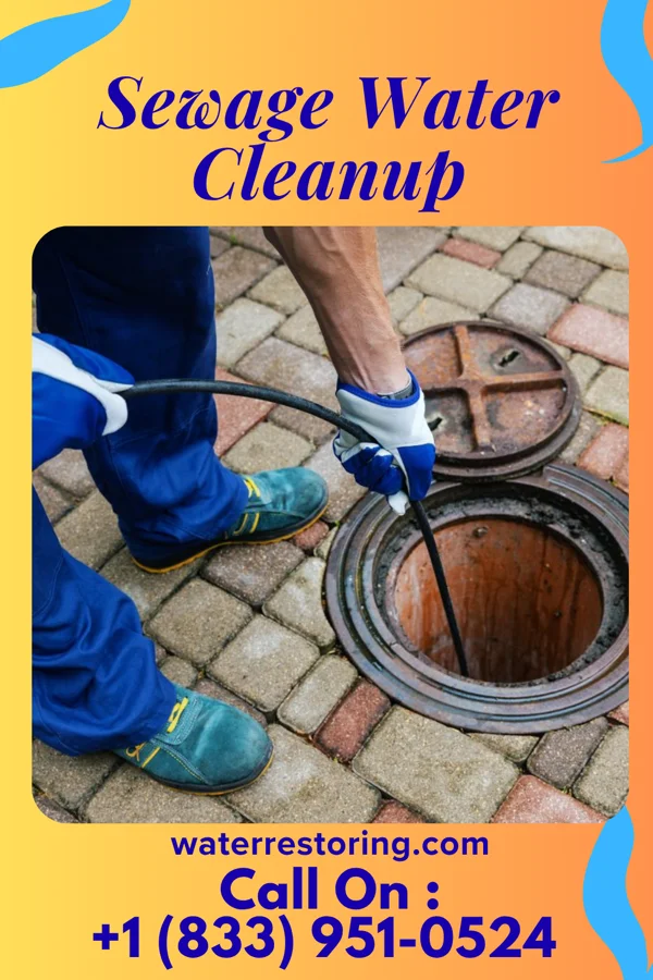 Sewage Water Cleanup in Hutton, MD